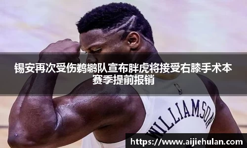 锡安再次受伤鹈鹕队宣布胖虎将接受右膝手术本赛季提前报销