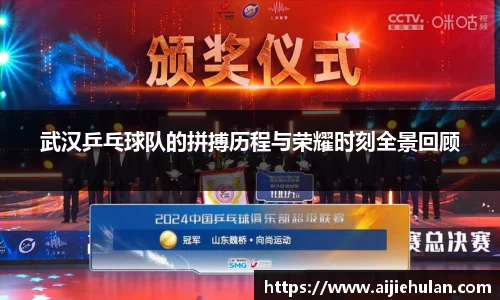 武汉乒乓球队的拼搏历程与荣耀时刻全景回顾